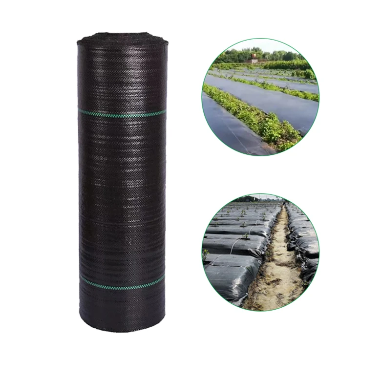 Multi-purpose Agricultural Plastic Products Plastic Mulch Weed Mat