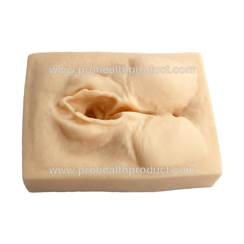 Female Vulva Incision Suture Model Episiotomy & Perineal Incision Suturing Practice Pad