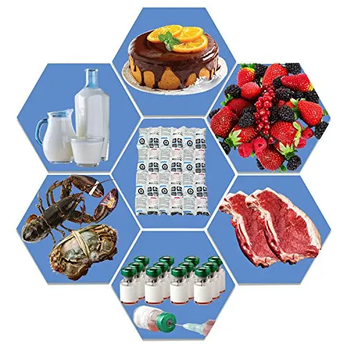 Cold Chain Insulation Transport Ice Pack For Food Seafood Fishing Dry Ice Sheet Bio Pharmacy Hydrated Ice Pack