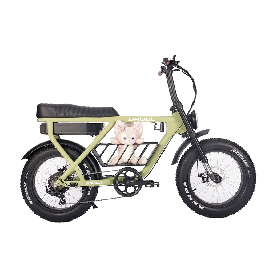 OEM ODM 20Ah литиевая батарея E bike 36V 48V 500W 750W 1000W электрический велосипед