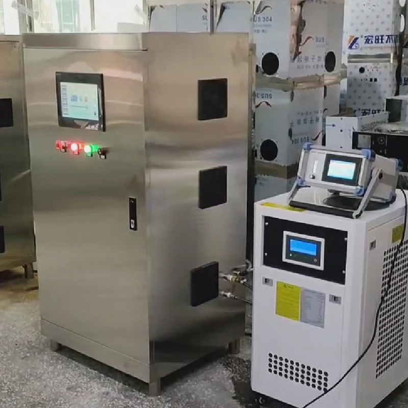 110V 220V Oxygen Source 10g 20g 50g 100g Ozone Generator For Aquaculture