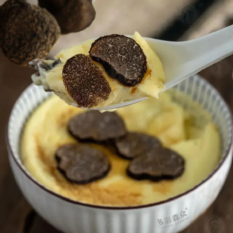 Truffle mushroom price/fresh black truffle for sale Chinese truffle