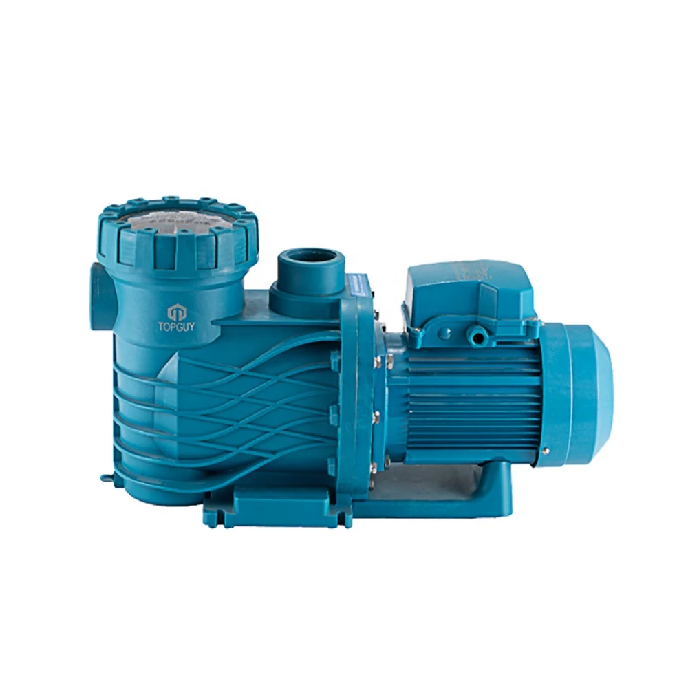 High efficiency electric pentair swimming pool pump with high performance motor circulation for swimming pool equipment