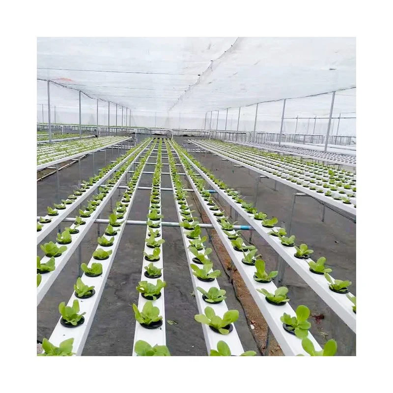 Вертикальная гидропонная аквапонная система NFT для коммерческих сельскохозяйственных теплиц