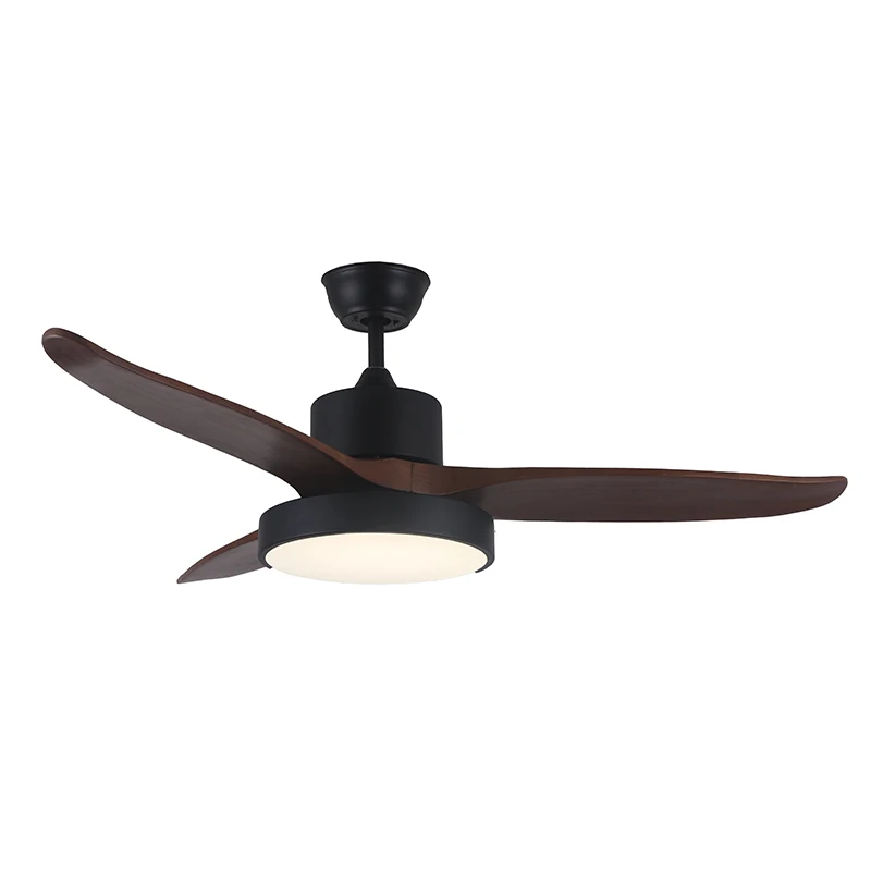 Modern Simple Natural Time Setting RF Remote Control Ceiling Fan Light Fan Lamp