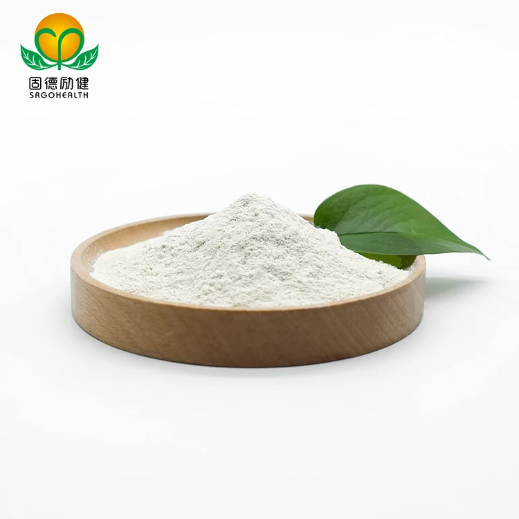 Bulk Wholesale Supply Top-quality Organic Rice Protein