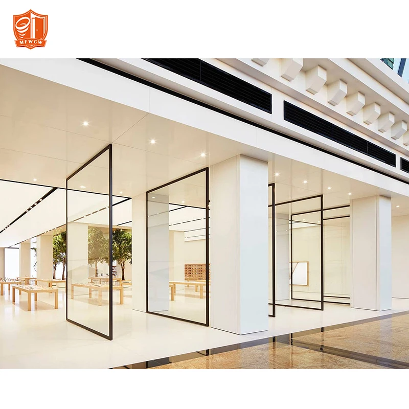 Black Color Thermal Break Aluminium Pivot Door Pivot Glass Door Modern