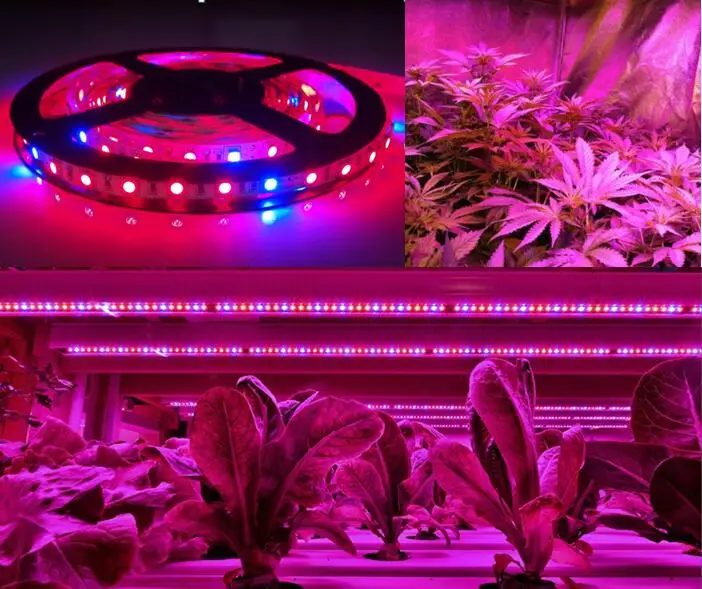 Grow-Light LED Strips help plants grow faster factory sell direct very easy to use long life time 50,000 hours CE certificate