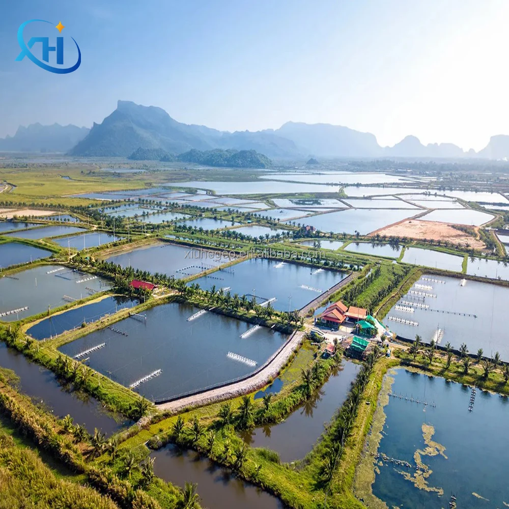 0 5 мм HDPE геомембранный вкладыш Гладкий Geoliner рыбный пруд для аквакультуры