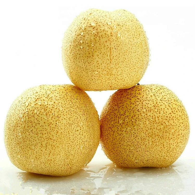 Unique Supply Natural Organic New Season Sweet Fresh Wholesale Pear Price