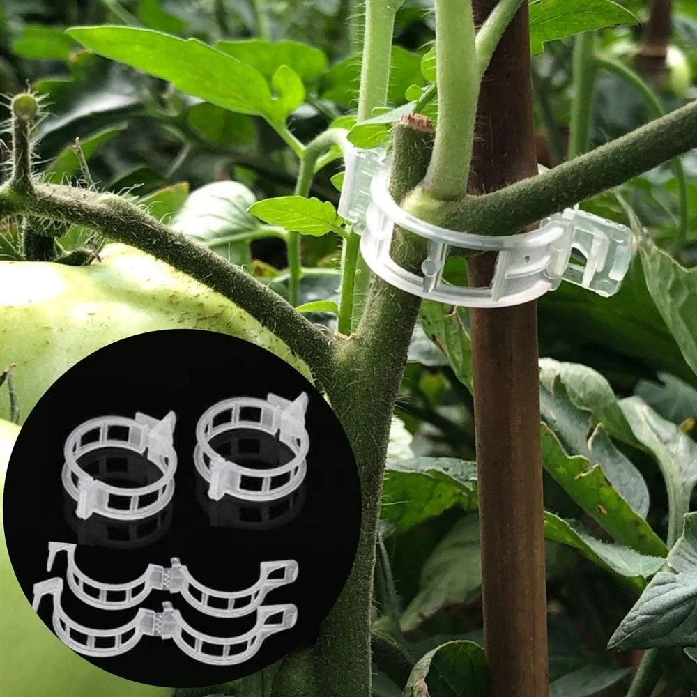 100 pack small size spring plant staking loop gripper vine clips for wholesale