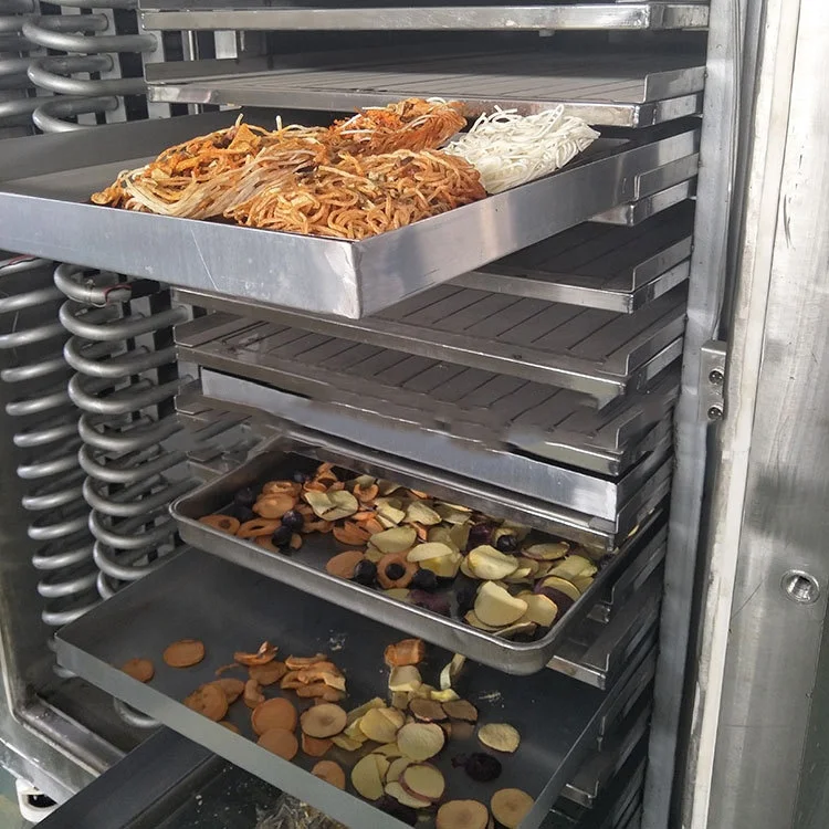  Машина для сушки пищевых продуктов сушилка замораживания вакуумное оборудование фруктов сухая