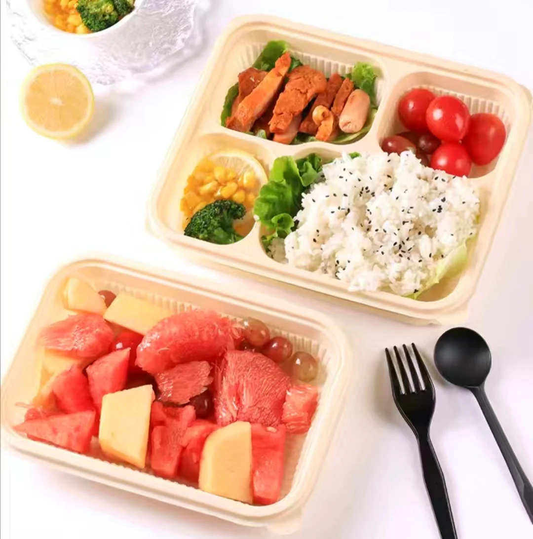 Eco-Friendly and Safe Multi-Grid Disposable Corn Starch Lunch Box for Parties-Wholesale