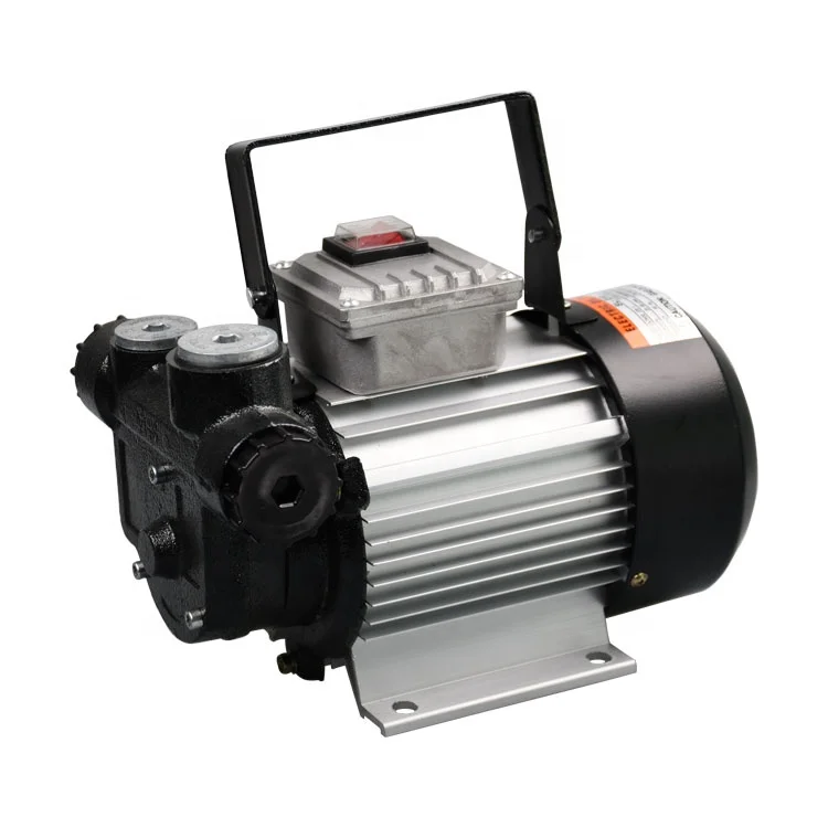 Factory Direct Large Flow Electric 220V Diesel Kerosene Fuel Transfer Oil Pump With Customized Box