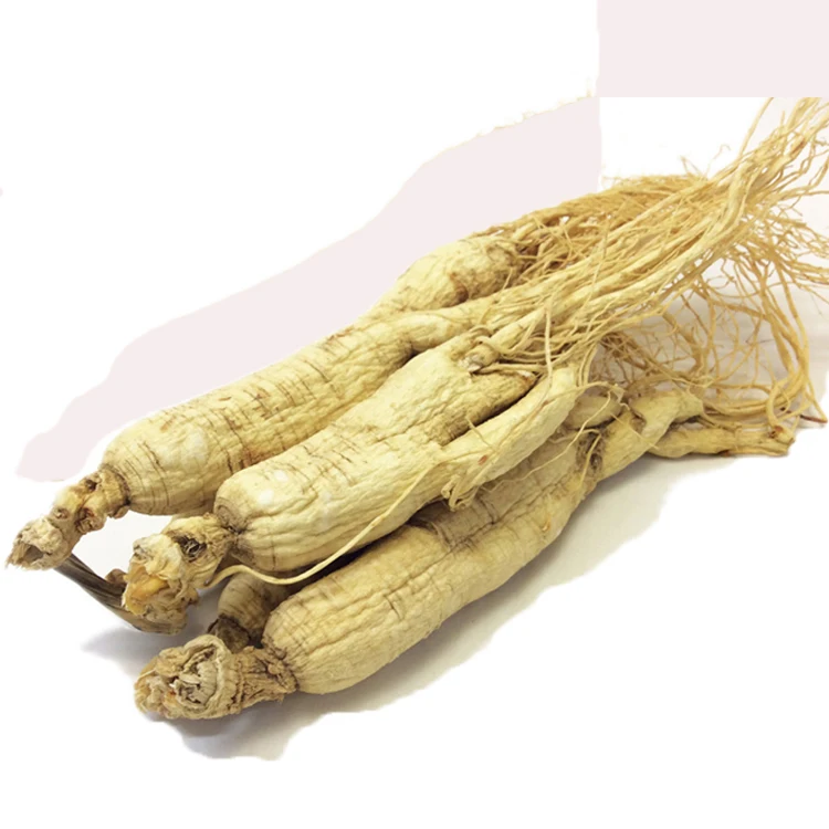 Wholesale Supply Herbs  High Quality Wild Ginseng Root Whole Root