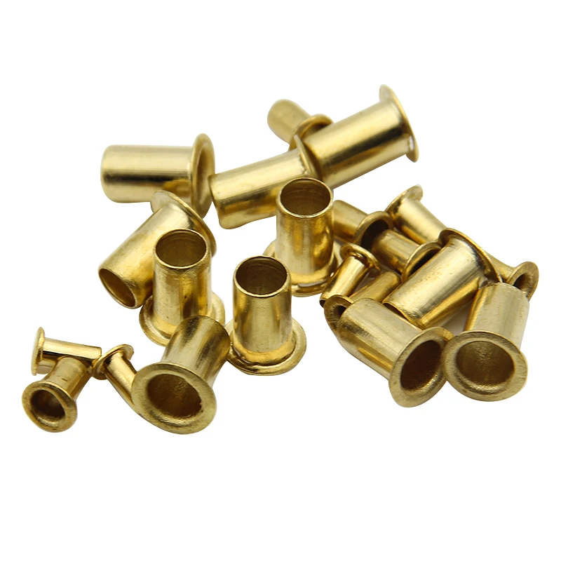 Application Industry M1.5-m6 Brass Copper Steel Hollow Soild Rivet