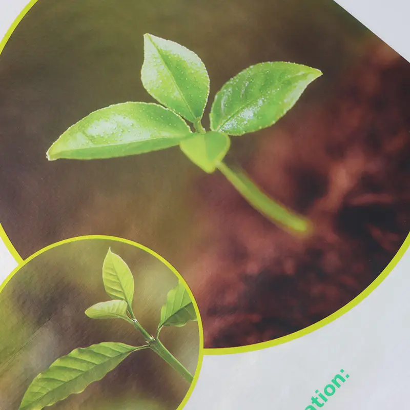 Custom 10kg 15kg 20kg 25kg 50kg Agricultural bopp laminated pp woven 40lb fertilizer sack soil green compost polypropylene bag