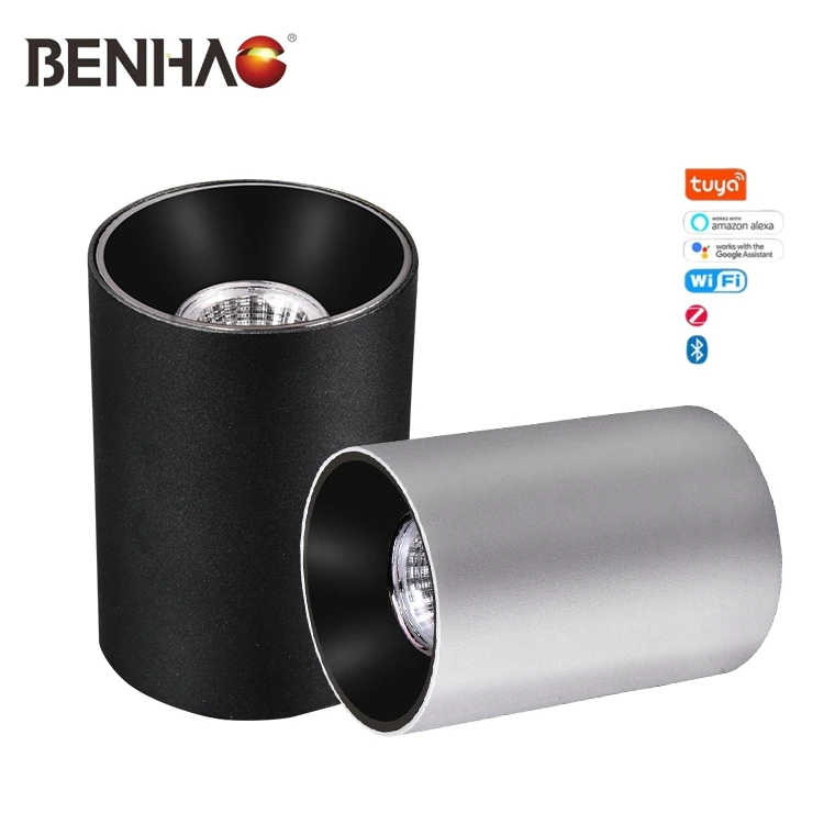 BENHAO Wholesale Anti Glare 2.4G Tuya Zigbee Round Ceiling Surface Mounted Round Smart Cylinder Led Downlight