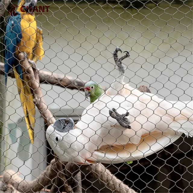 Popular Eye Size 20*20 Stainless Steel Cable Bird Net Small-Hole Steel Rope Wire Mesh for Aviary and Zoo Mesh Netting