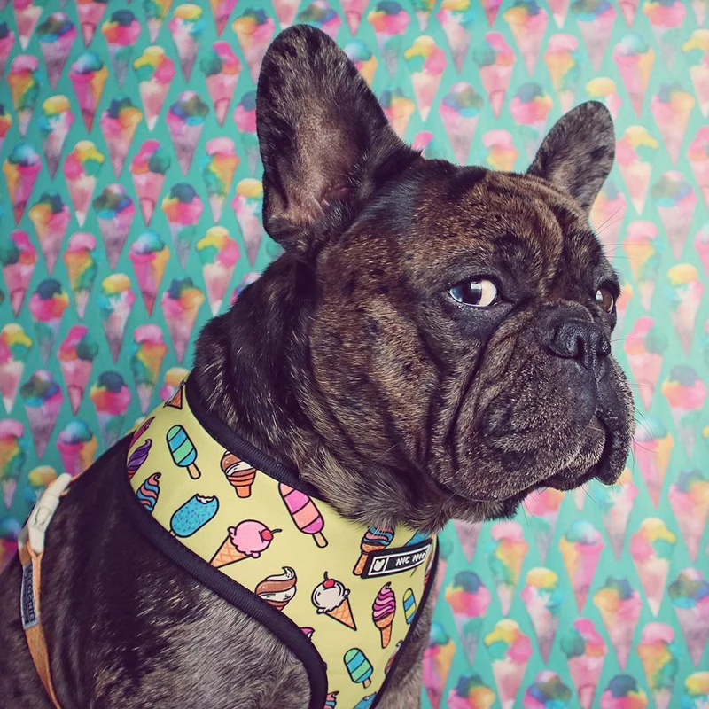 Factory Wholesale Latest Desirable Adjustable Polyester Pet Lovely Dog Harness Leash Set