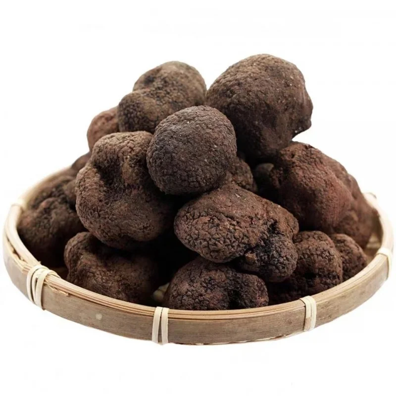 
black chips dry chinese summer turffle Plastic truffles wild made in China 