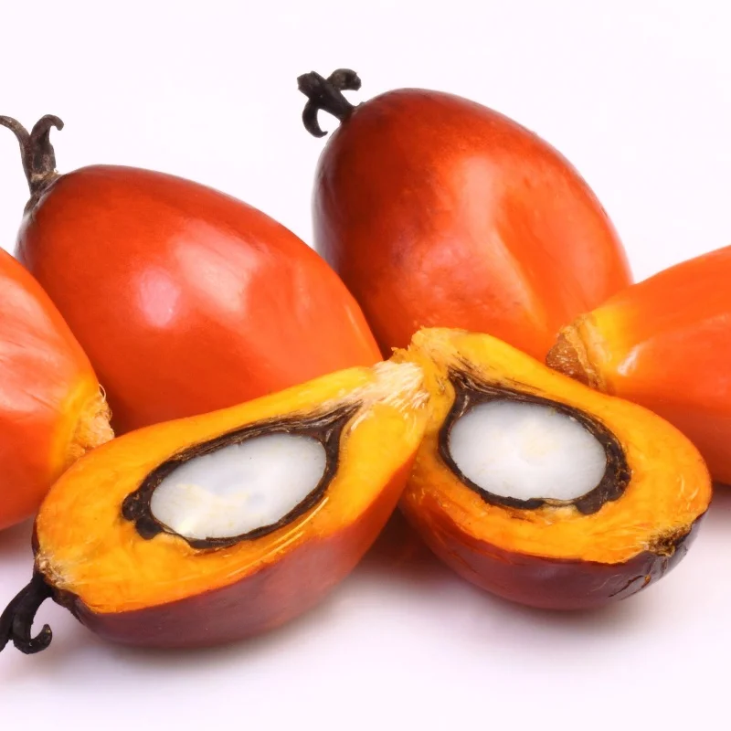 Factory Supply High-Purity Pure Natural Food Grade Palm Fruit Juicy Powder Freeze dried palm fruit powder Palm fruit powder