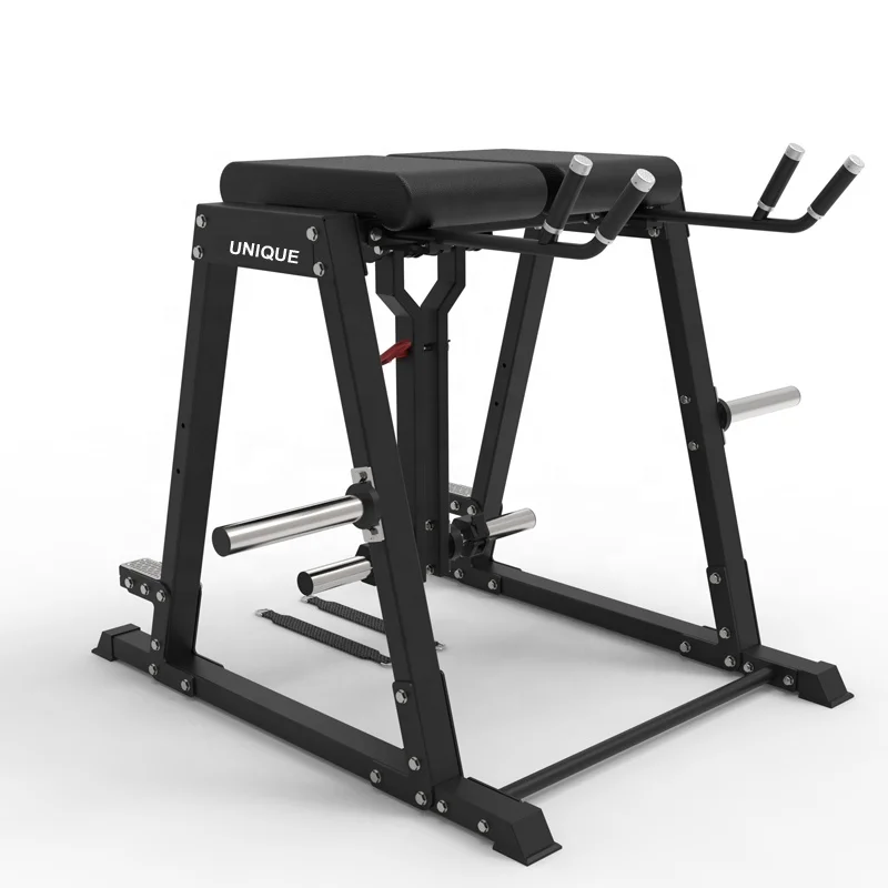 Multi function Commercial Gym Exercise Roman Chair Reverse Hyper Extension