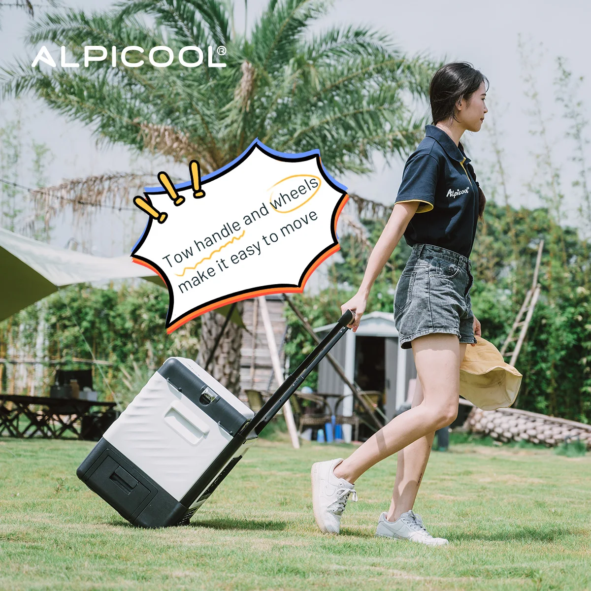 P22 Alpicool Solar Fridge Freezer combo Battery power mini Refrigerator for bar DC compressor Compact Camping Electric Cooler