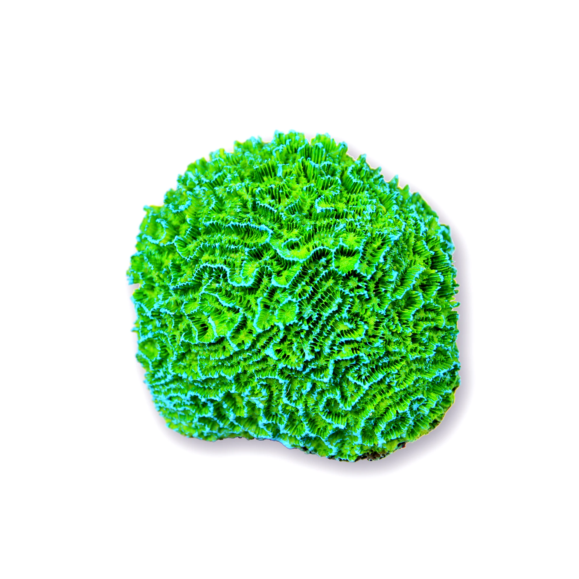 High quality artificial coral reef for aquarium decoration product