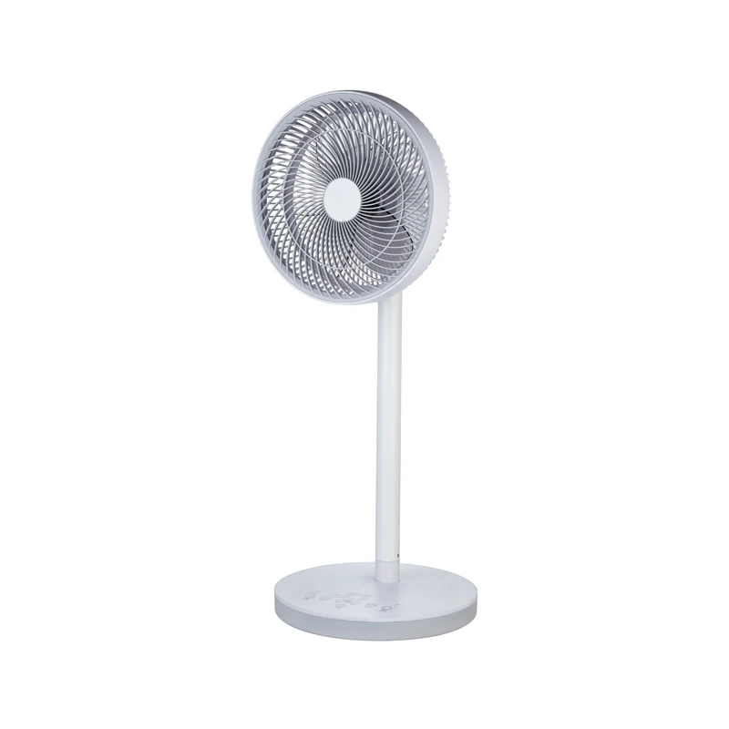Hot Sale Factory Direct New Modern 12 Speed 220V DC Remote Control Timer Function Stand Fan