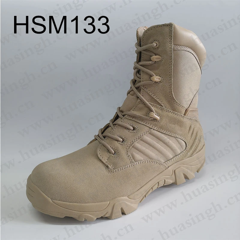 HSM133-1_