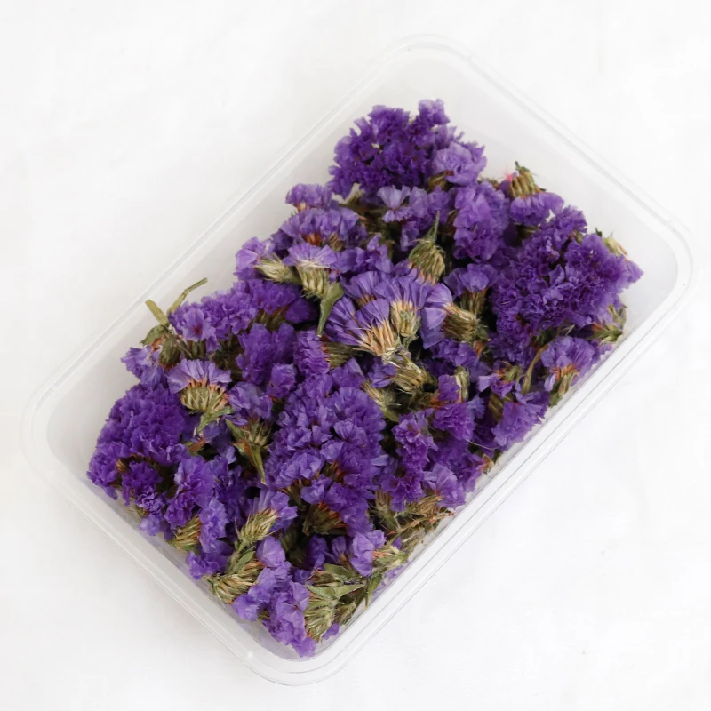 GH-096 wholesale dried flower bag natural bulk lavender daisy preserved dried flower material package heads for decoration