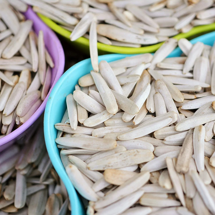 In Bulk imported  New Crop white striped sunflower seed