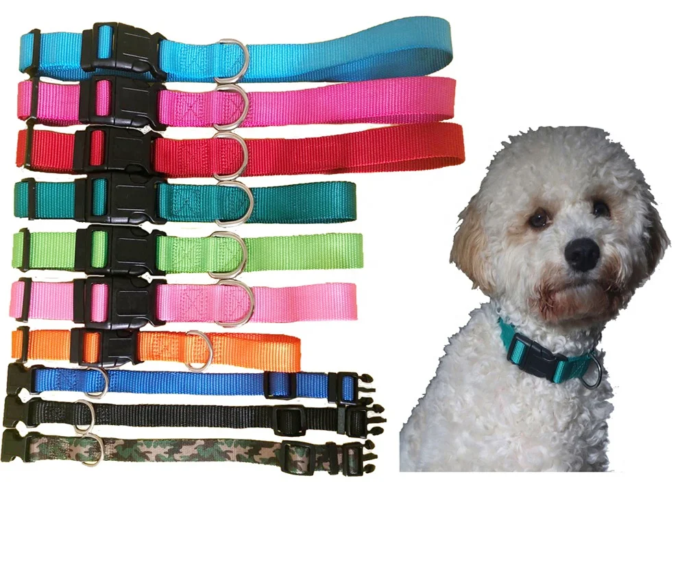 Free sample China manufacturer wholesale harness designer bandana dog collar