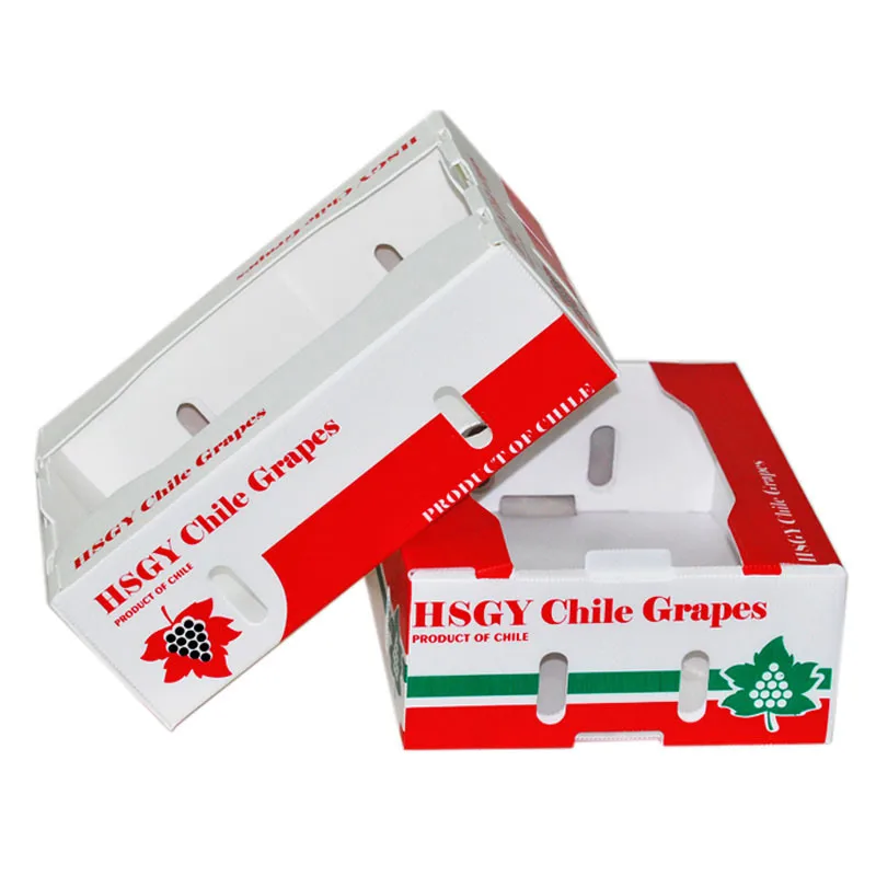 Eco-friendly Corruone Customized Pp Sweet Corn Box Plastic Asparagus Box Recyclable PP Corrugated Plastic Corn Box