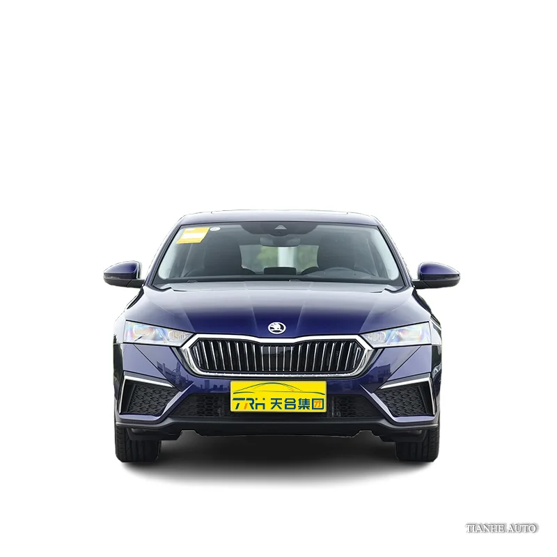 OCTAVIA PRO 2025 TSI280 DSG роскошная версия