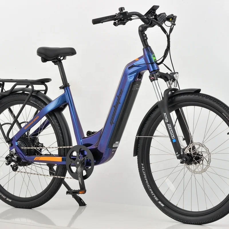 China Manufacturer Low Step Beach Cruiser E Bike Fat Tire Disc Brake LED Light Electric Hybrid Bike With Rear Rack