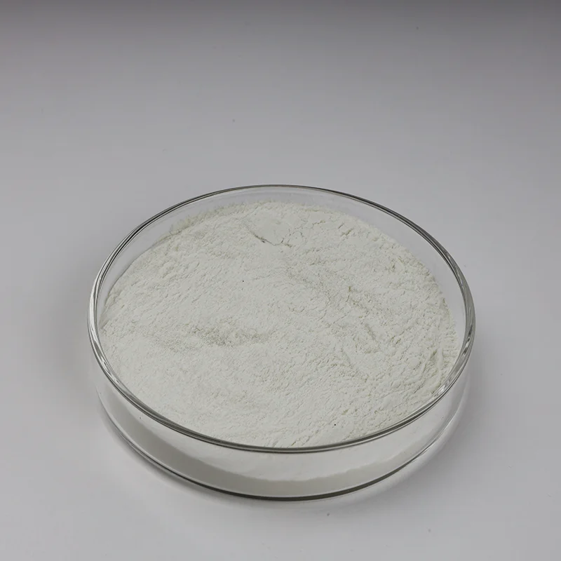 Factory Supply High Quality Lipase powder Food Grade