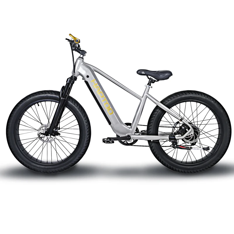2022 new Electric mountain Bike 750W 1000w 26inch fat electric bikes Chinese electric bicycle 48v cheap electric bike