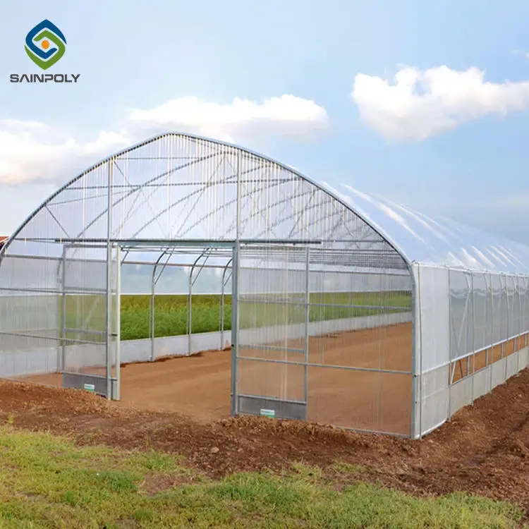 JDYApoly low cost mini poly tunnel agriculture green house vegetable high polythene tunnel garden greenhouse for tomato