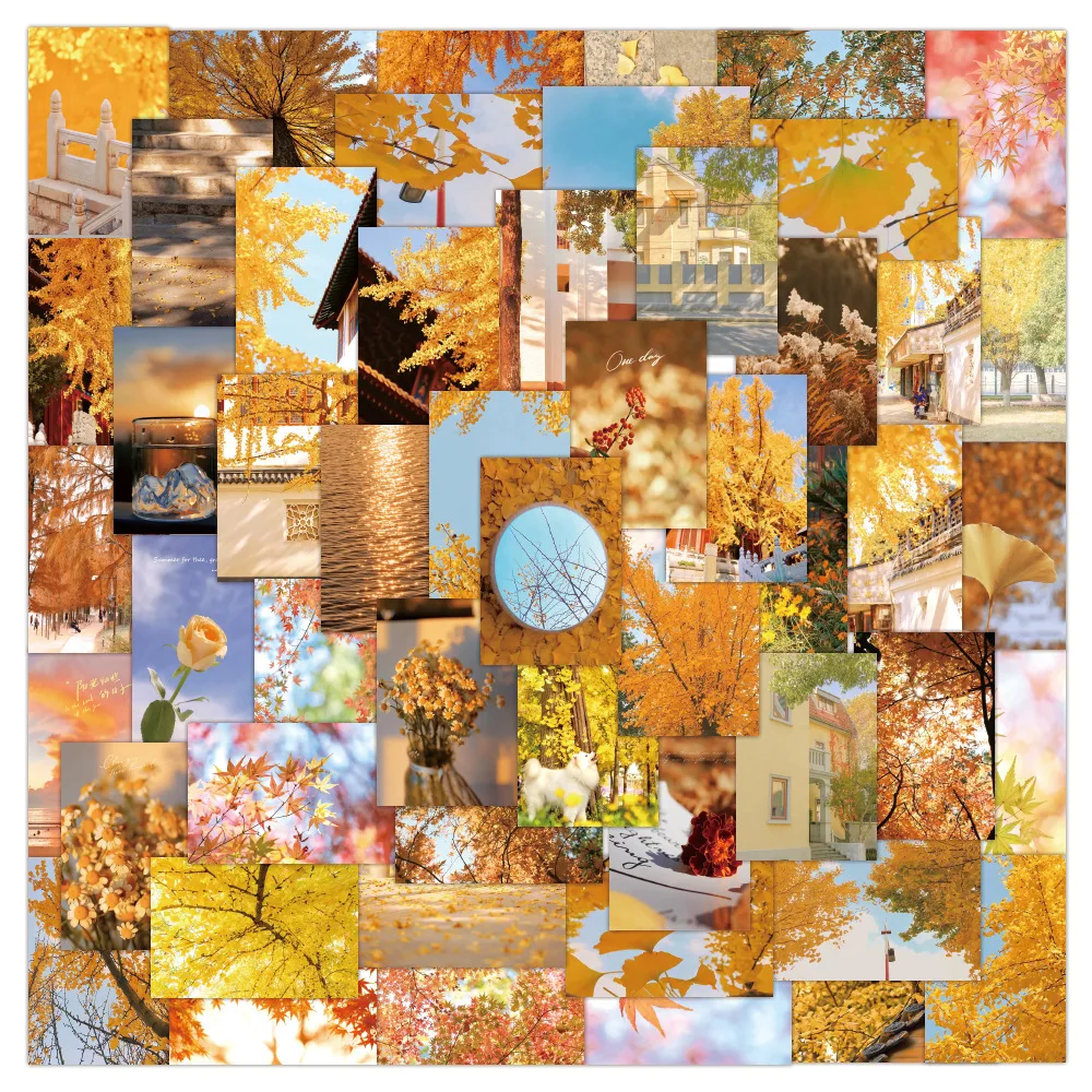 60 pcs Autumn yellow ginkgo maple leaves fall scenery sticker suitable for notebook water cup guitar graffiti decoration sticker