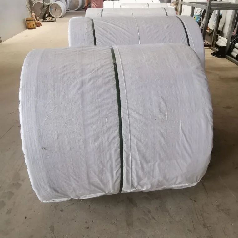 China Low Price NN Dipped Belting Fabric NN100 For Conveyor Belts