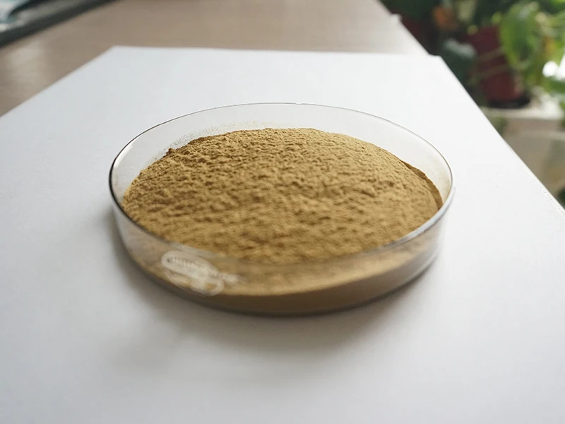 Порошок экстракта зеленых кофейных зерен с Хлорогеновой кислотой от производителя Insen