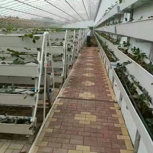 High Quality Hydroponics Growing System Vegetable Yield Lower Energy Greenhouse