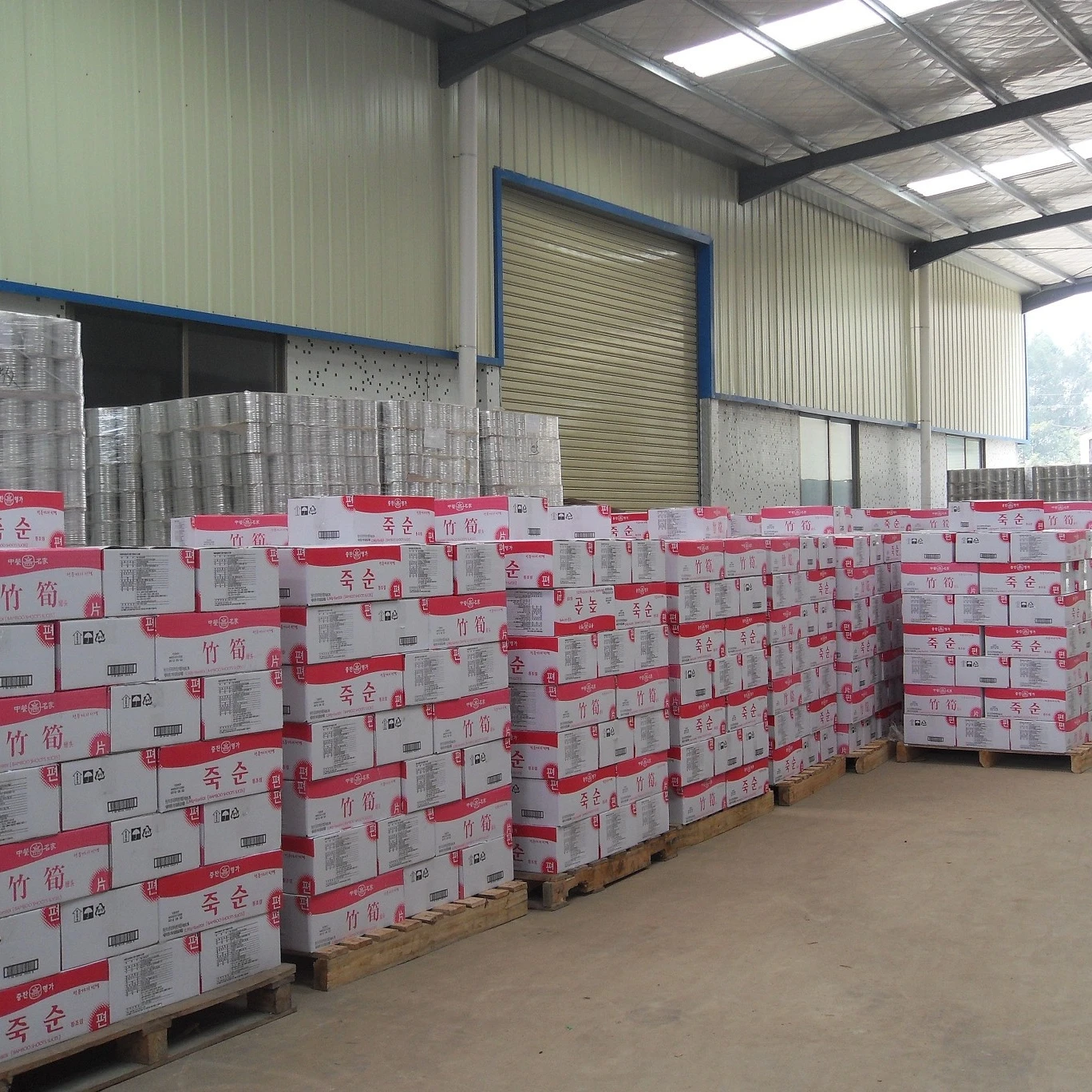 
good quality canned bamboo shoots in tin 