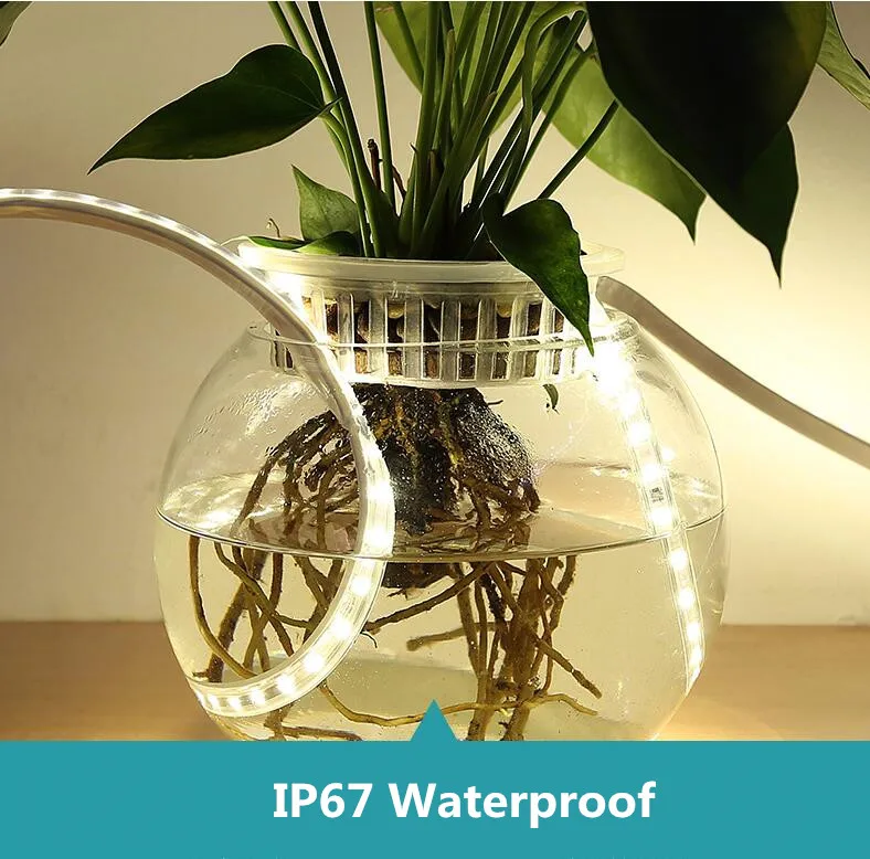 5m Waterproof 150 LEDs RGBW 44keys Remote Control Change rechargeable Waterproof IP67 5050 RGB led strip light