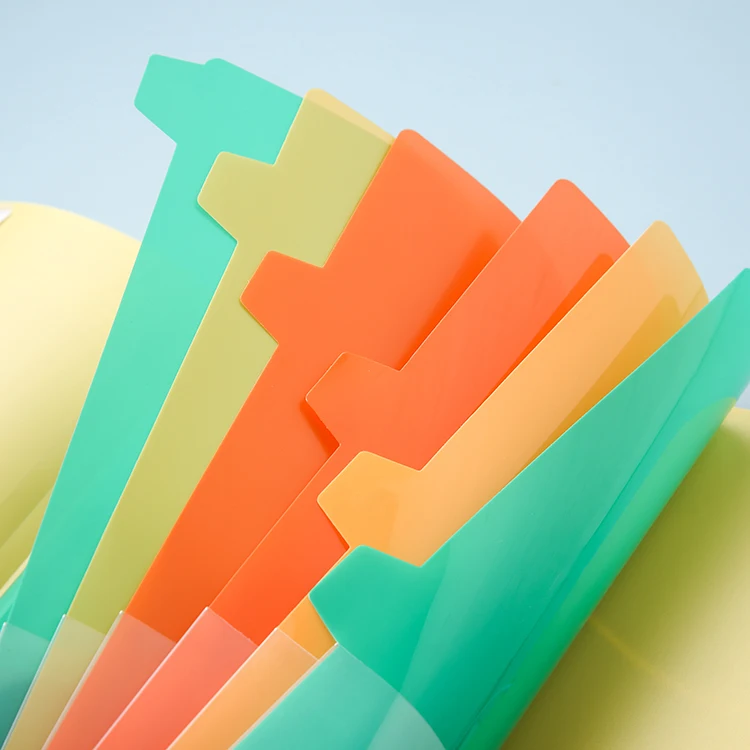 Professional Manufacturer Wholesale Large Capacity Plastic Expansion Folder Color Label Paging Folder with 6 tabs rainbow pages