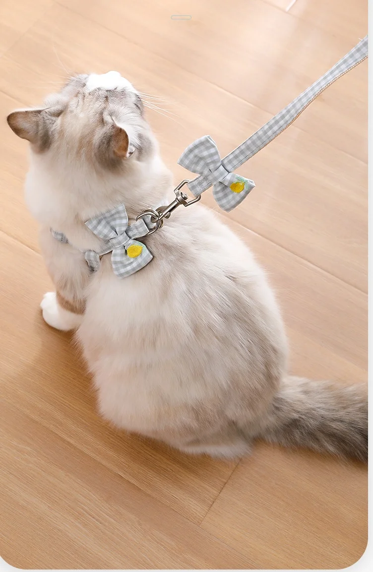 New spot Pipi Tao clear fresh wind fruit embroidery lead rope small and medium-sized dog teddy leash dog leash