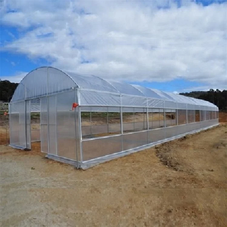 In Stock Fast delivery Commercial Hydroponic Plastic Film Green House Holland greenhouse tunnel plastic greenhouses for sale