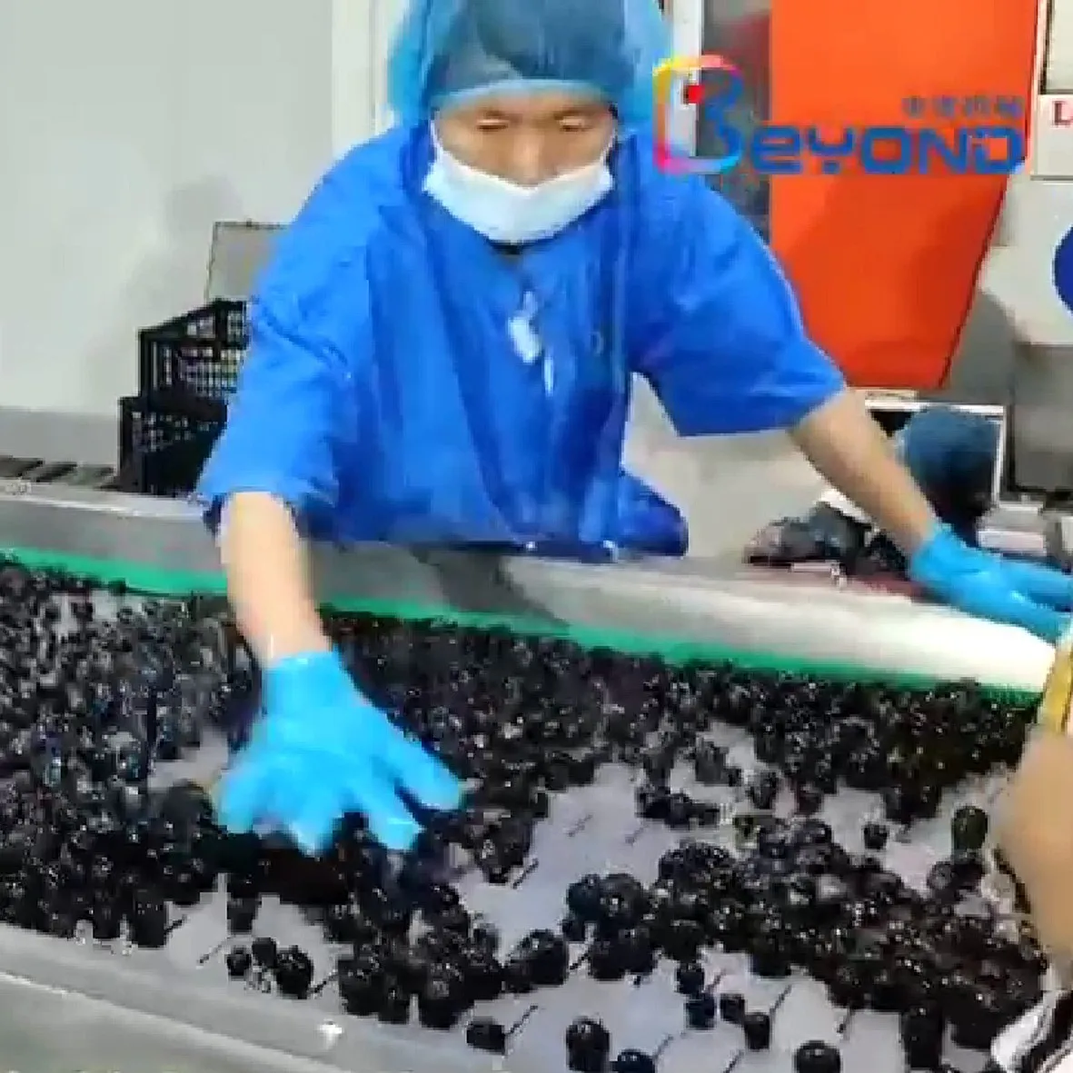 Grape juice processing line grape juice making equipment  Grape Juice Press Machine